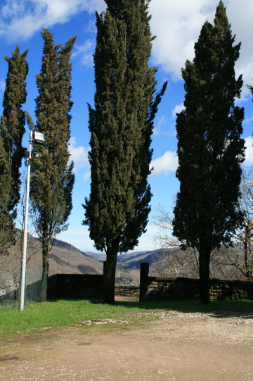 f0077159_515960.jpg