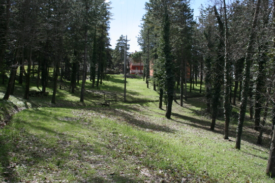 f0077159_516660.jpg