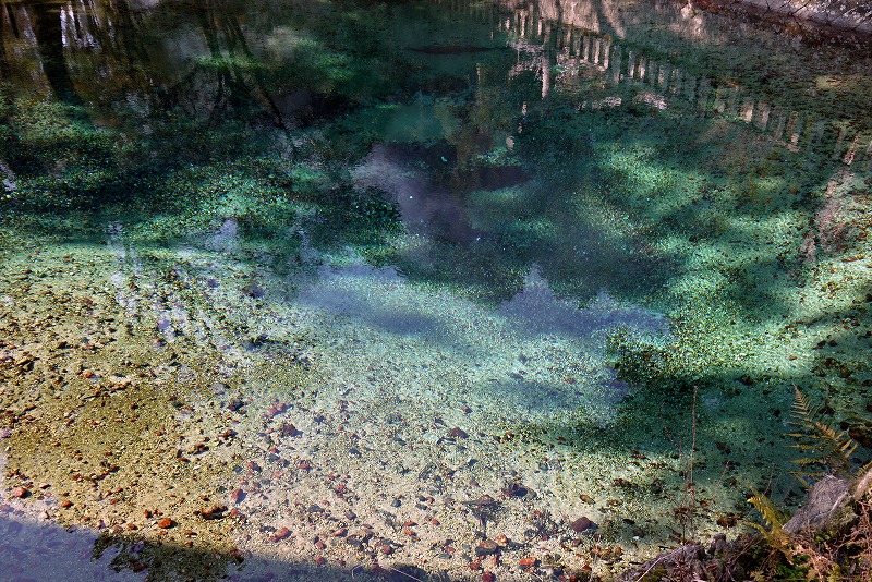 d0244960_17412960.jpg