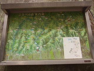 e0187064_9272018.jpg