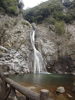 e0187064_9312437.jpg
