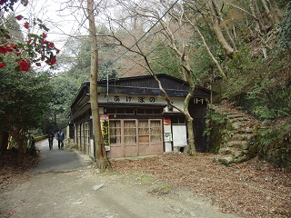 e0187064_9403989.jpg