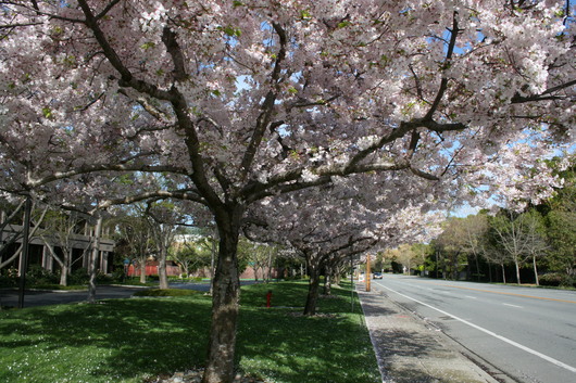 c0115366_113262.jpg