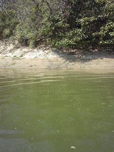 f0142668_7342930.jpg