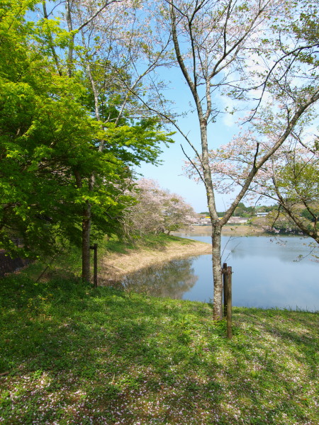 a0260570_10211262.jpg