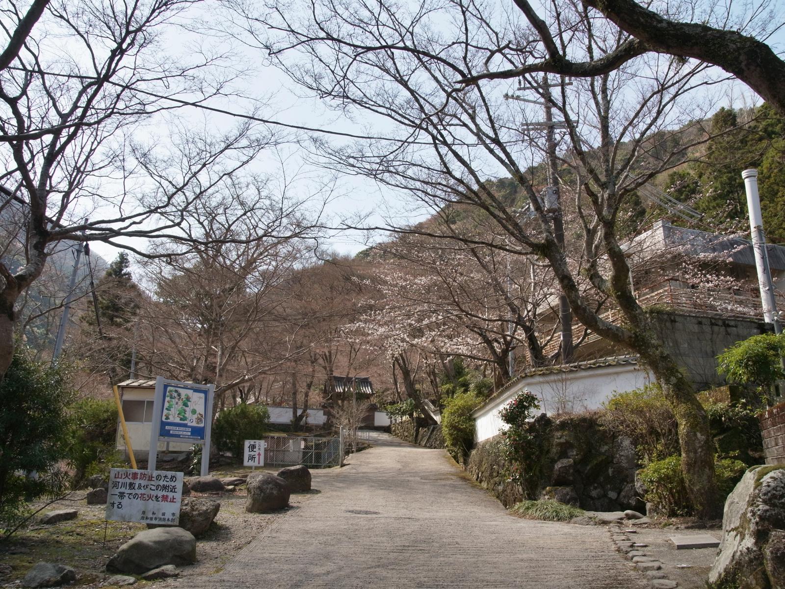 c0177576_35172.jpg