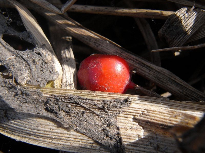 c0183777_7302397.jpg