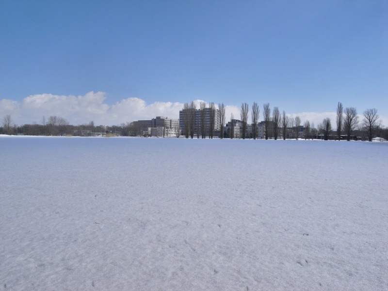 c0183777_7313863.jpg