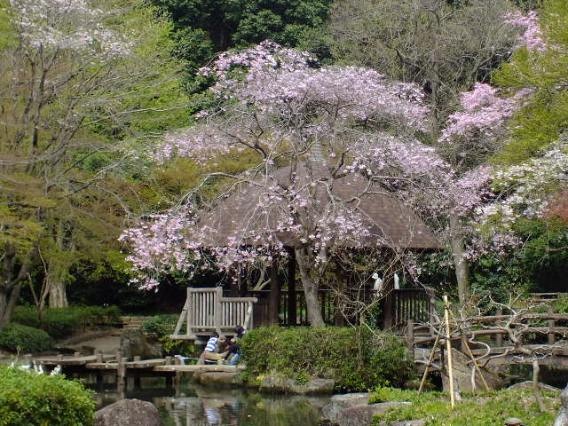 e0145782_611788.jpg