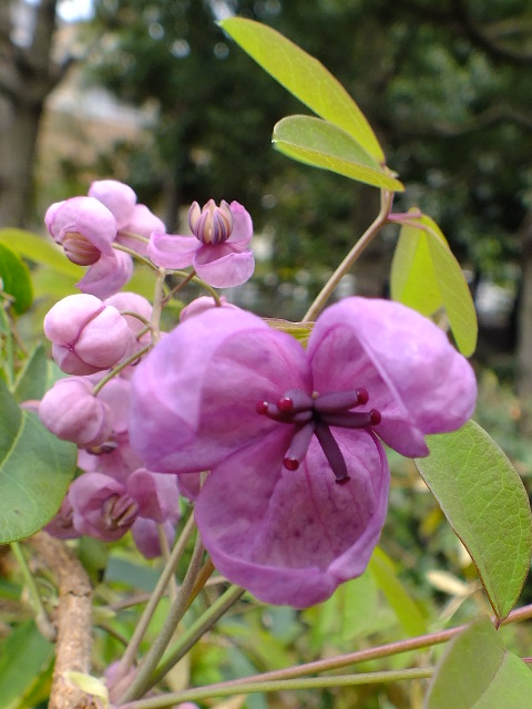 e0145782_67657.jpg