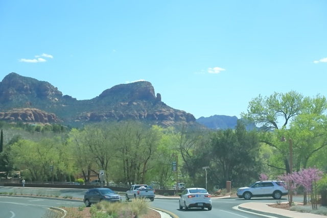 e0148185_8295744.jpg