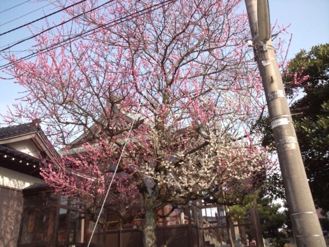 a0045193_18162098.jpg