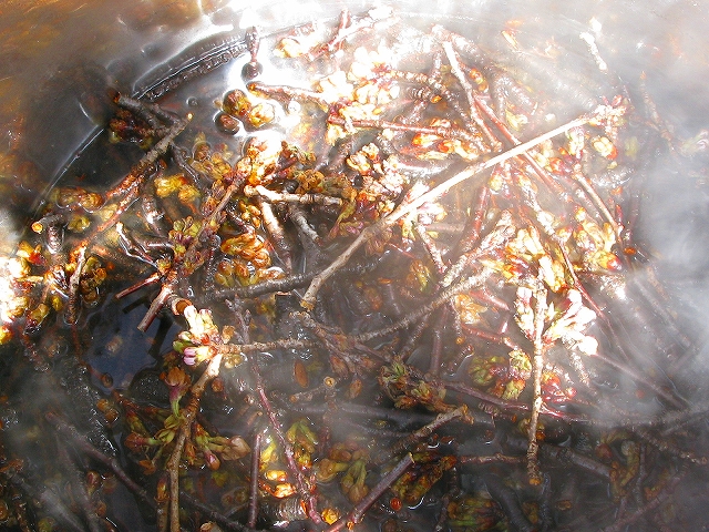 f0181394_1511464.jpg