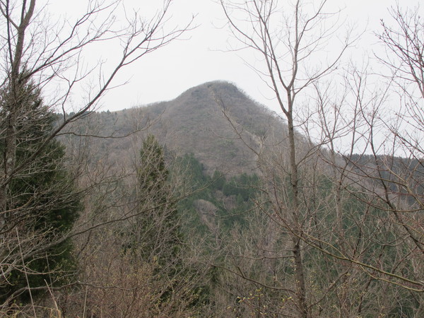 a0166196_13185153.jpg