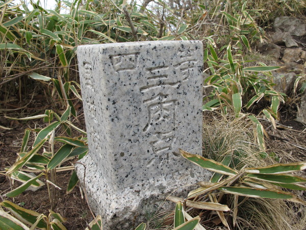 a0166196_13195744.jpg