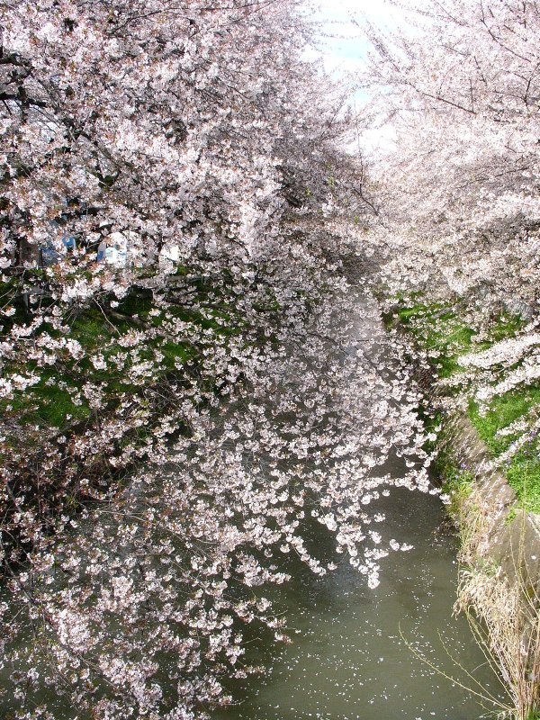 a0031000_17533234.jpg