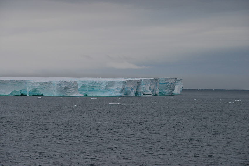 c0193901_84863.jpg