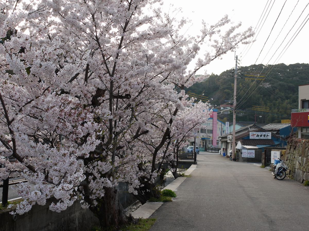 b0165802_7544851.jpg