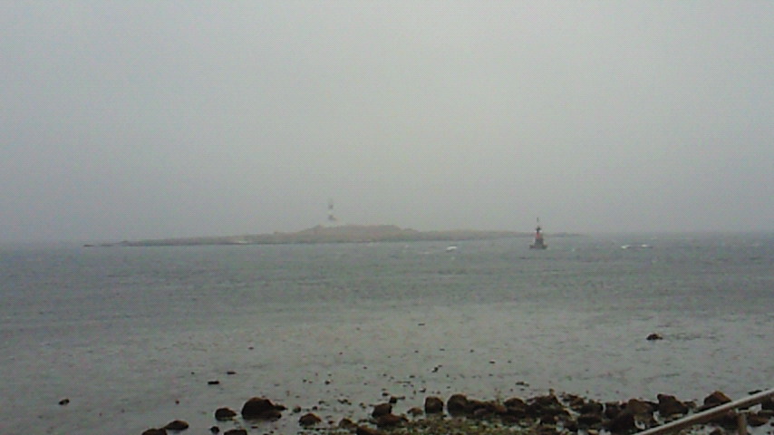 d0149105_1316544.jpg