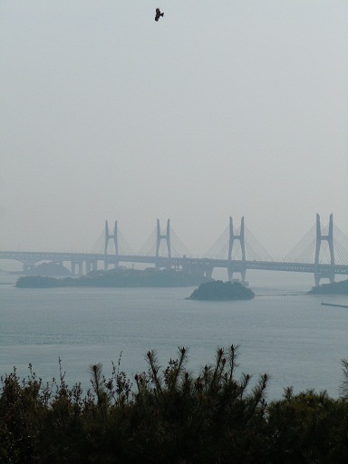 c0101913_1293422.jpg