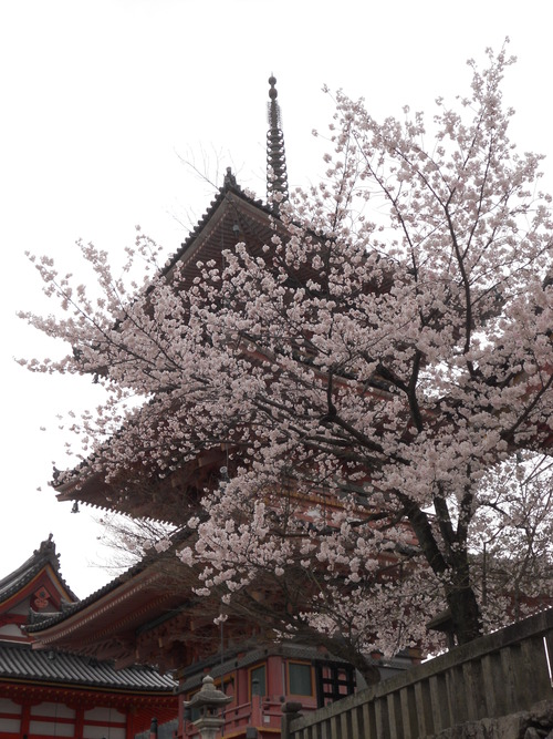 f0044715_2030356.jpg
