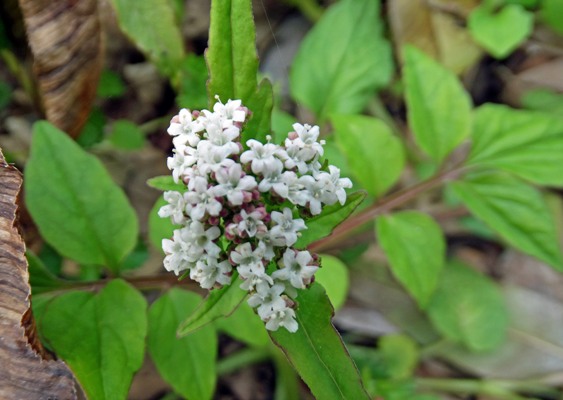 c0042418_9135394.jpg