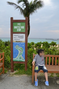 b0121019_22443139.png
