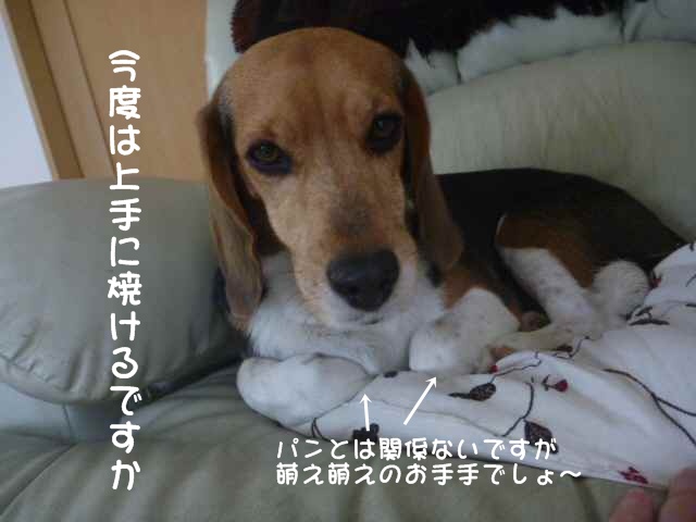 c0166622_22274623.jpg