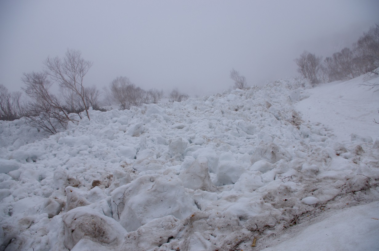 b0062024_2013669.jpg