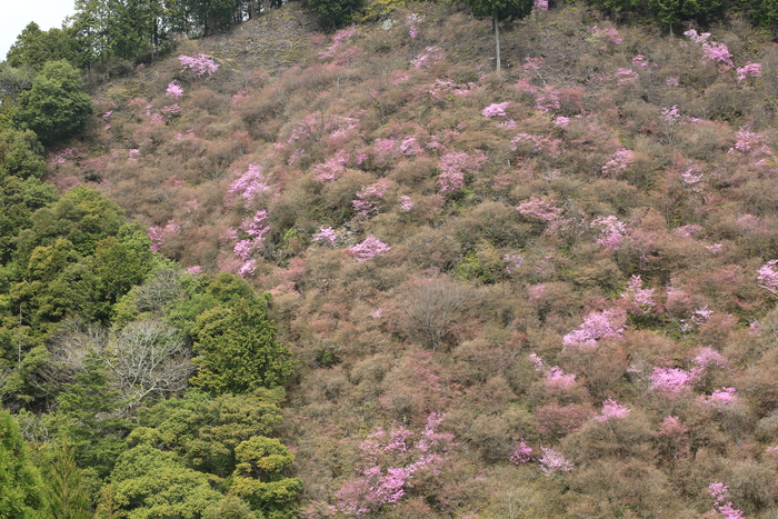 d0283427_193235.jpg