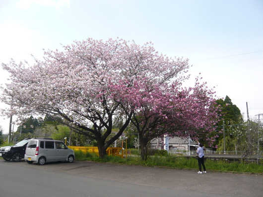 a0206332_10212657.jpg