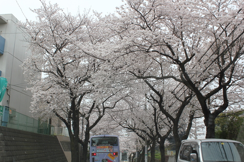 e0166032_2282768.jpg