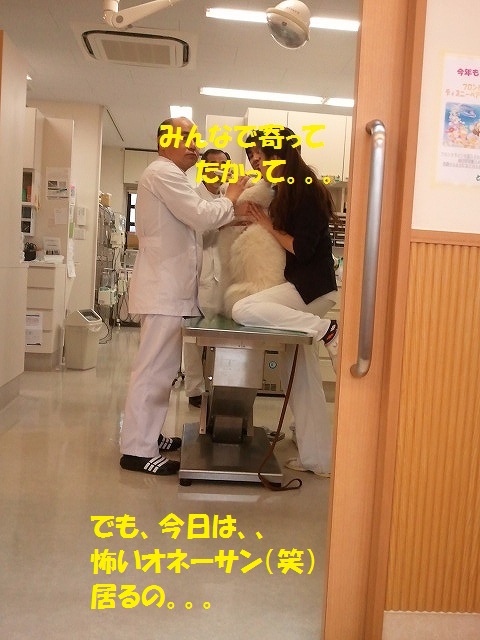 e0196135_21514298.jpg