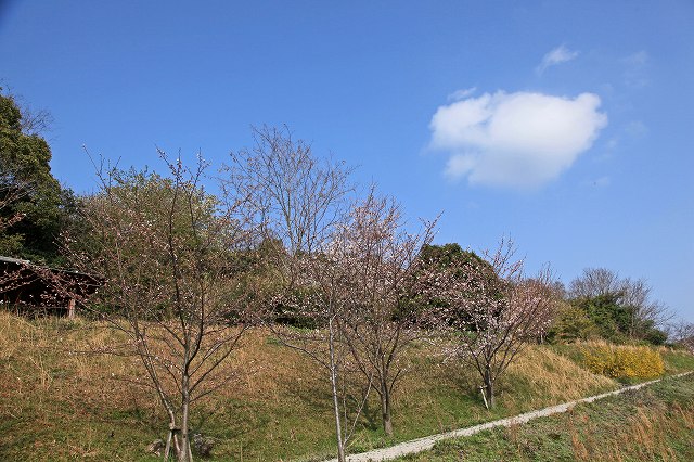 a0242438_19342915.jpg