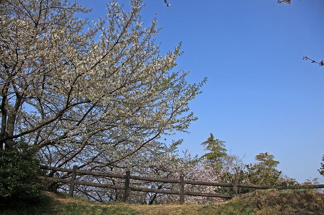 a0242438_19353623.jpg