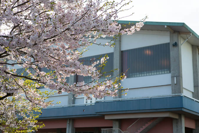 d0139939_1724154.jpg