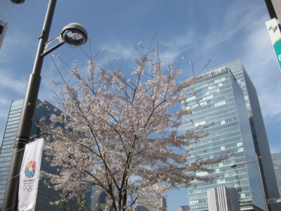 f0141840_021796.jpg