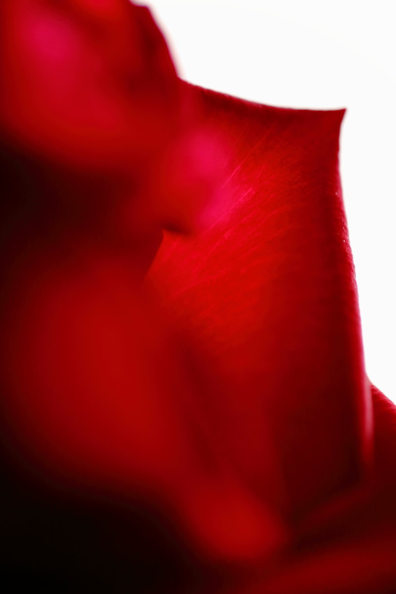 d0135242_2049204.jpg