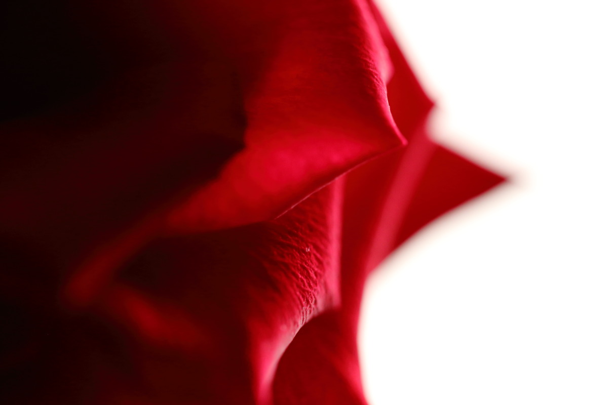d0135242_2185764.jpg