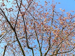 b0117348_574877.jpg