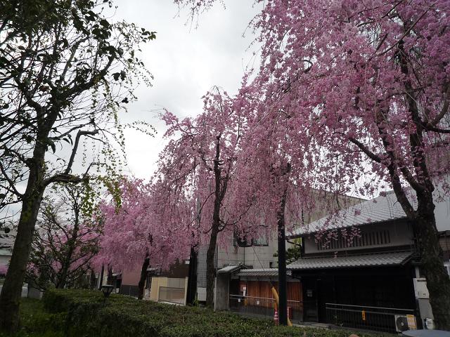 f0181251_1746120.jpg
