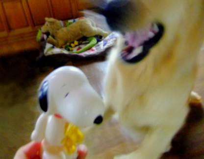 c0097558_2105090.jpg