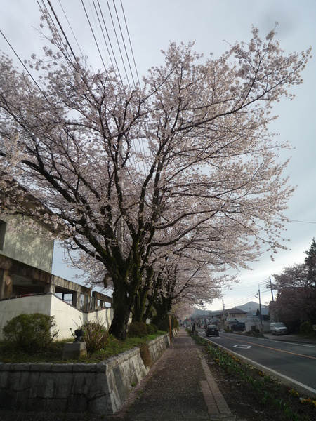 b0167759_17355979.jpg