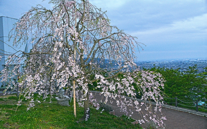 a0150260_0283147.jpg