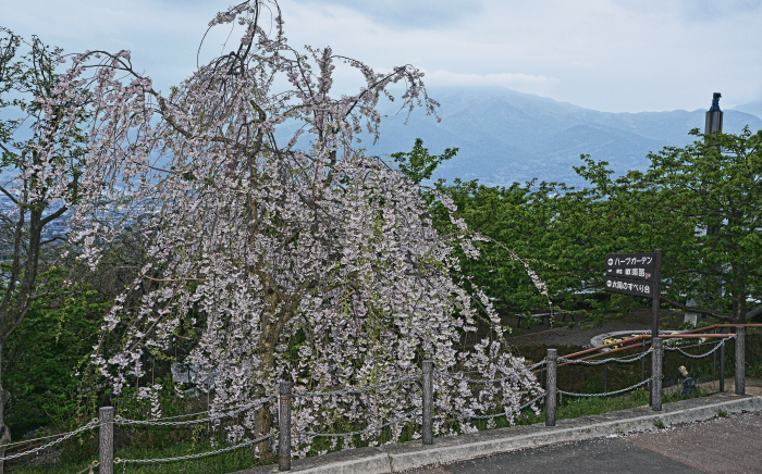 a0150260_028816.jpg