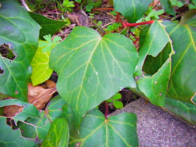 b0238760_2263019.jpg