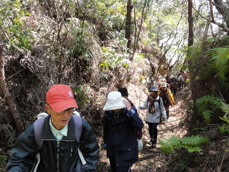 c0108460_2234083.jpg