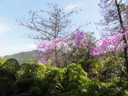 c0108460_2241037.jpg