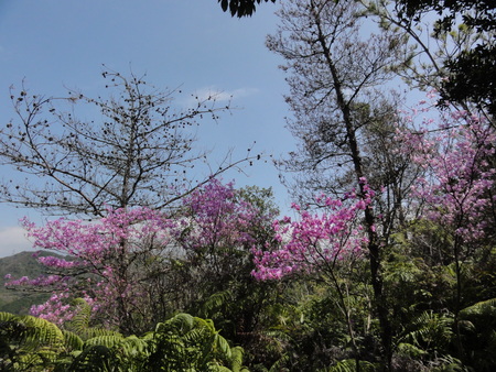 c0108460_22414847.jpg