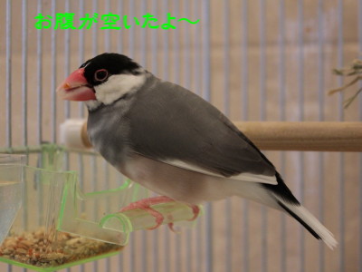 b0158061_2011308.jpg